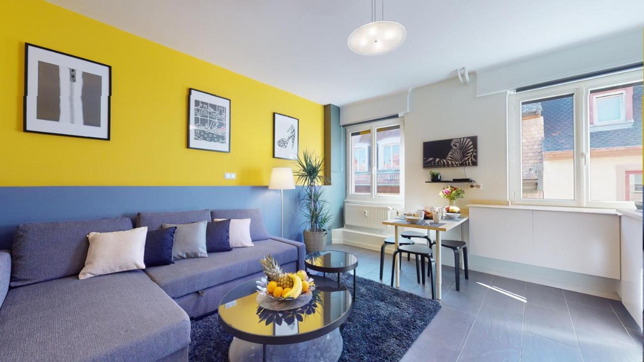 Suite Privative 43M2 - Les Tailleurs A 120M De La Cathedrale Straatsburg Buitenkant foto